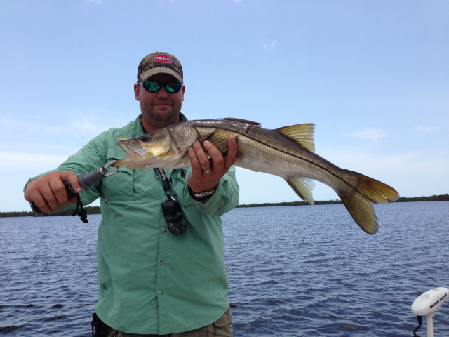 backwater snook