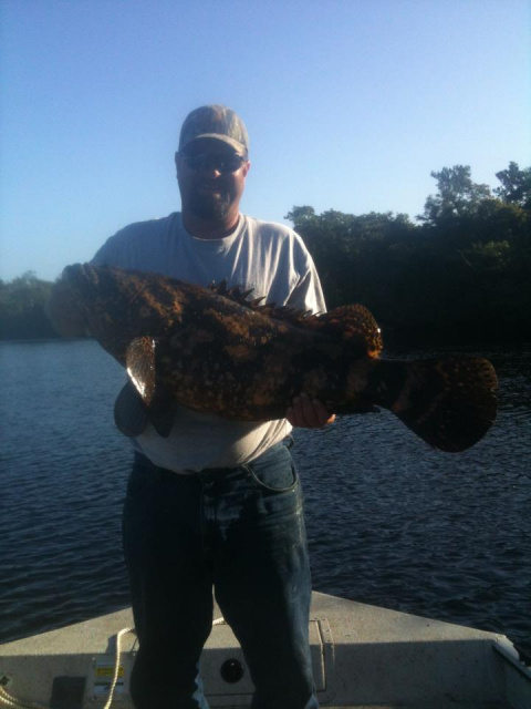 Fishing Florida for the Goliath Grouper