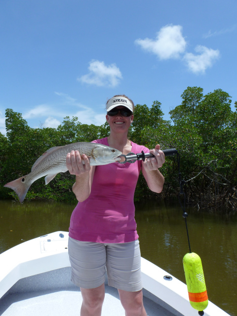 First Redfish