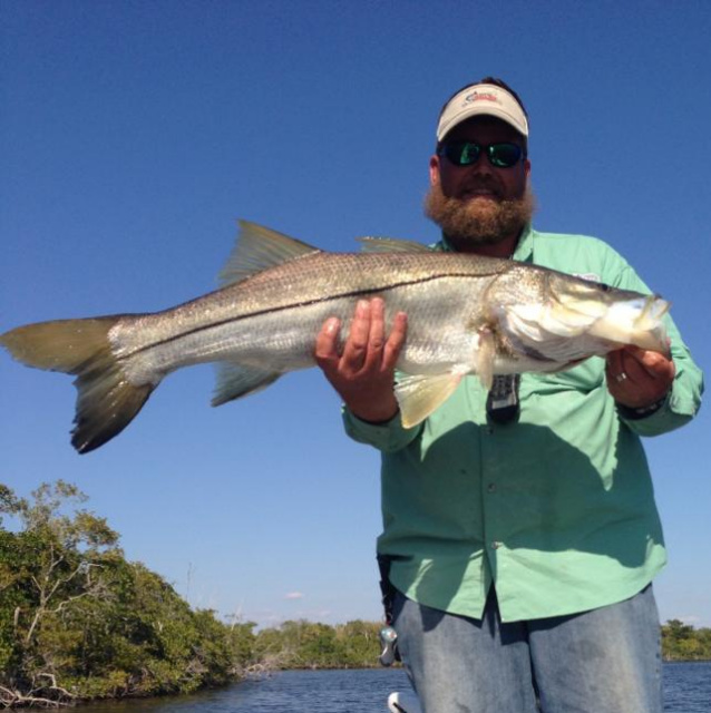 backwater snook