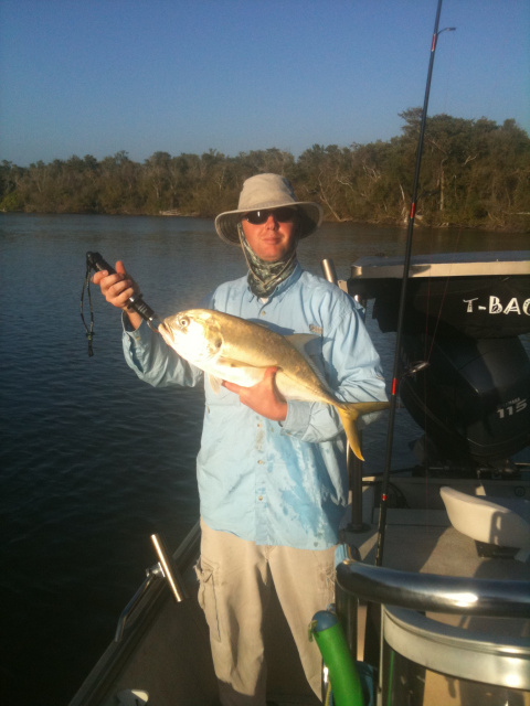 The hard fighting Jack Crevalle