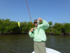 Baby Everglades Snook