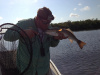 redfish love