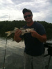 Everglades Snook